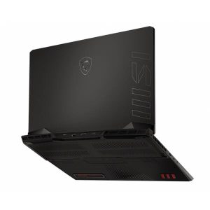 MSI Raider Gaming